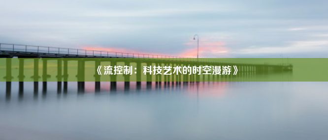 《流控制：科技艺术的时空漫游》