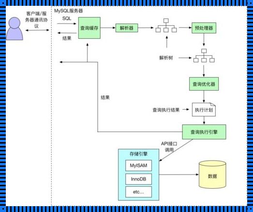 数据库中的宇宙：在Navicat中构建一座知识的桥梁