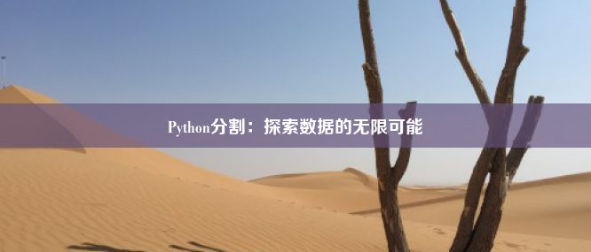 Python分割：探索数据的无限可能