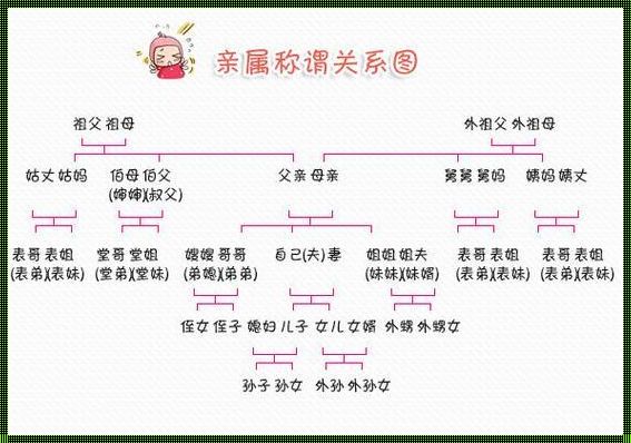 爸的比老公大两倍：家庭关系的科技解读