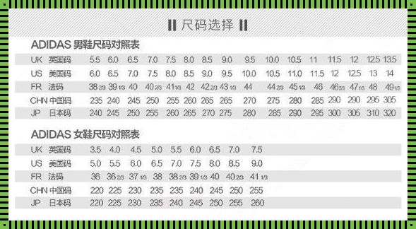 阿迪达斯po码揭秘：穿越时空的数字密码