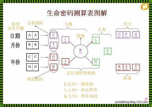 生命密码的启示：解码命运的密语