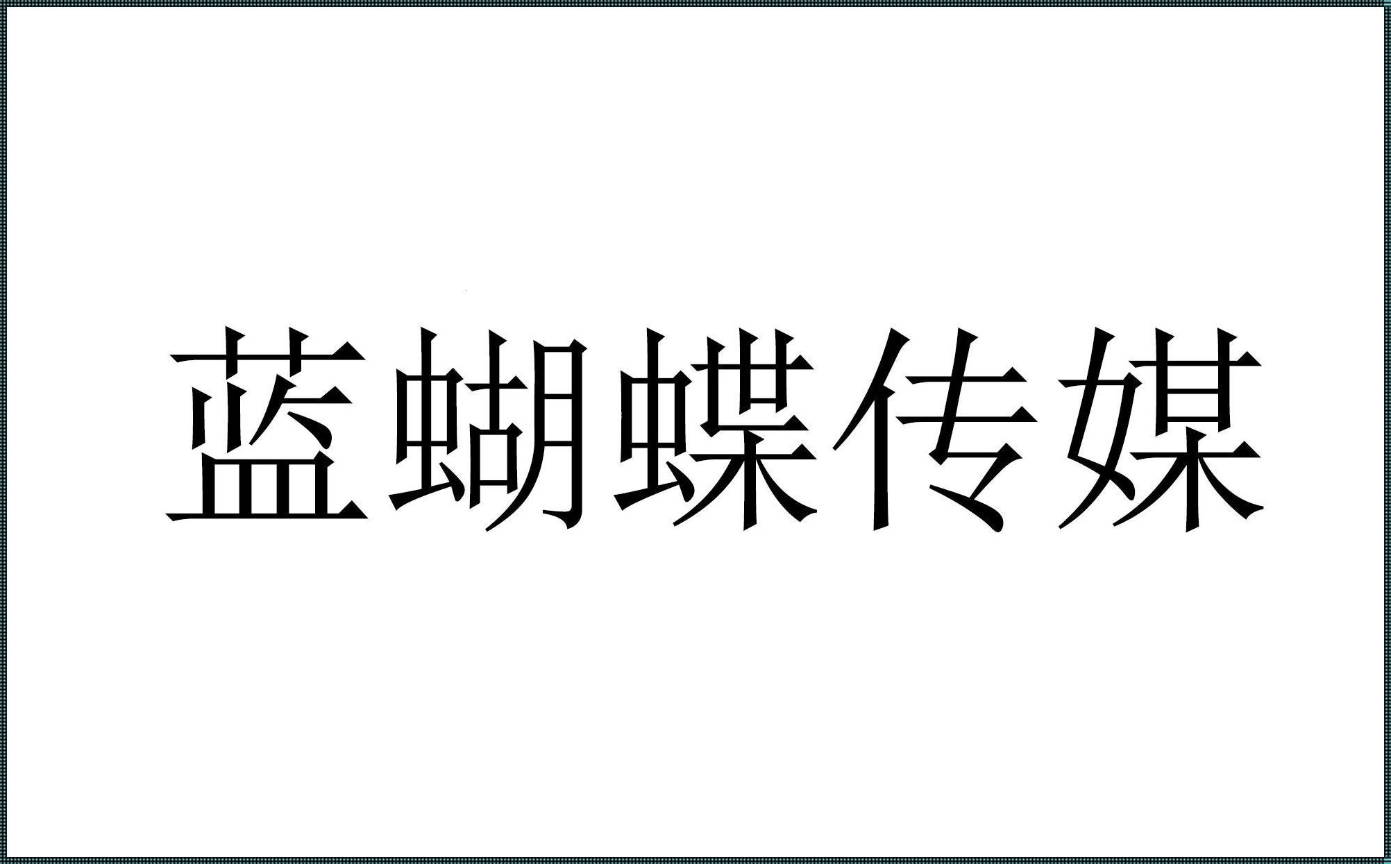 蝴蝶传媒：科技之翼下的数字化转型