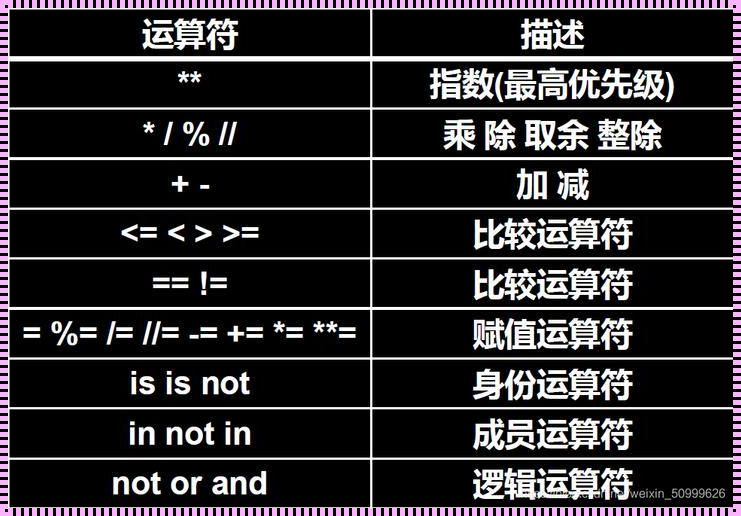 Python整除符号：解码编程世界中的和谐之美