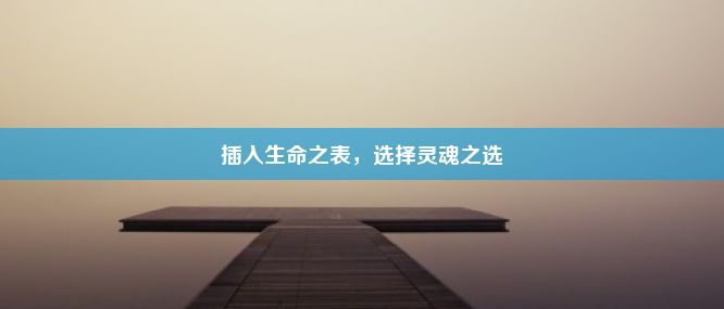 插入生命之表，选择灵魂之选