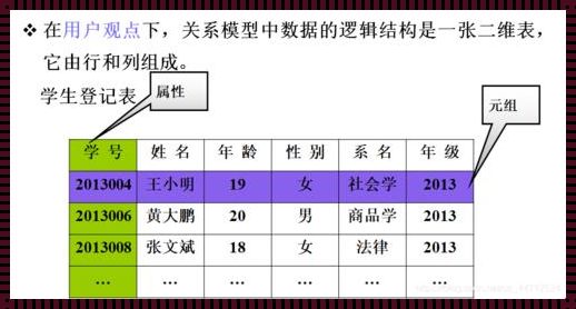 元组是行还是列：解构与重构的信息时代探索