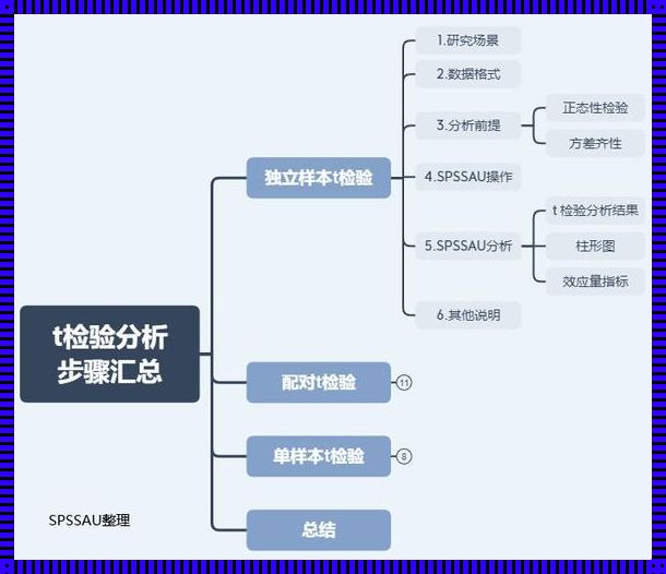 定类与定量：数据的双重奏