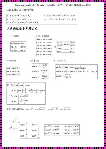 数学之美：爱与函数的和谐旋律