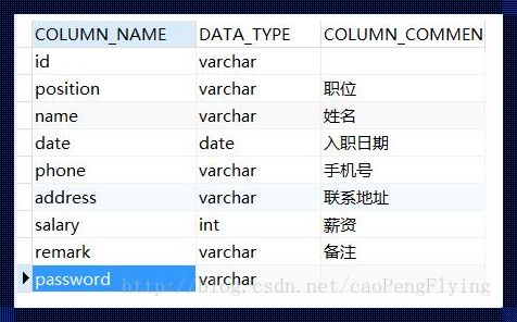 《探索数据库之海洋：MySQL查询当前库所有表名的艺术与科学》