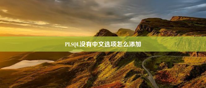 PLSQL没有中文选项怎么添加