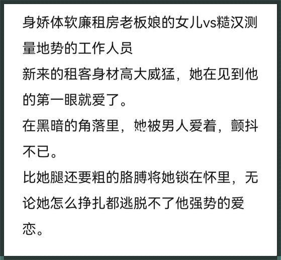 糙汉租客：科技与生活的碰撞