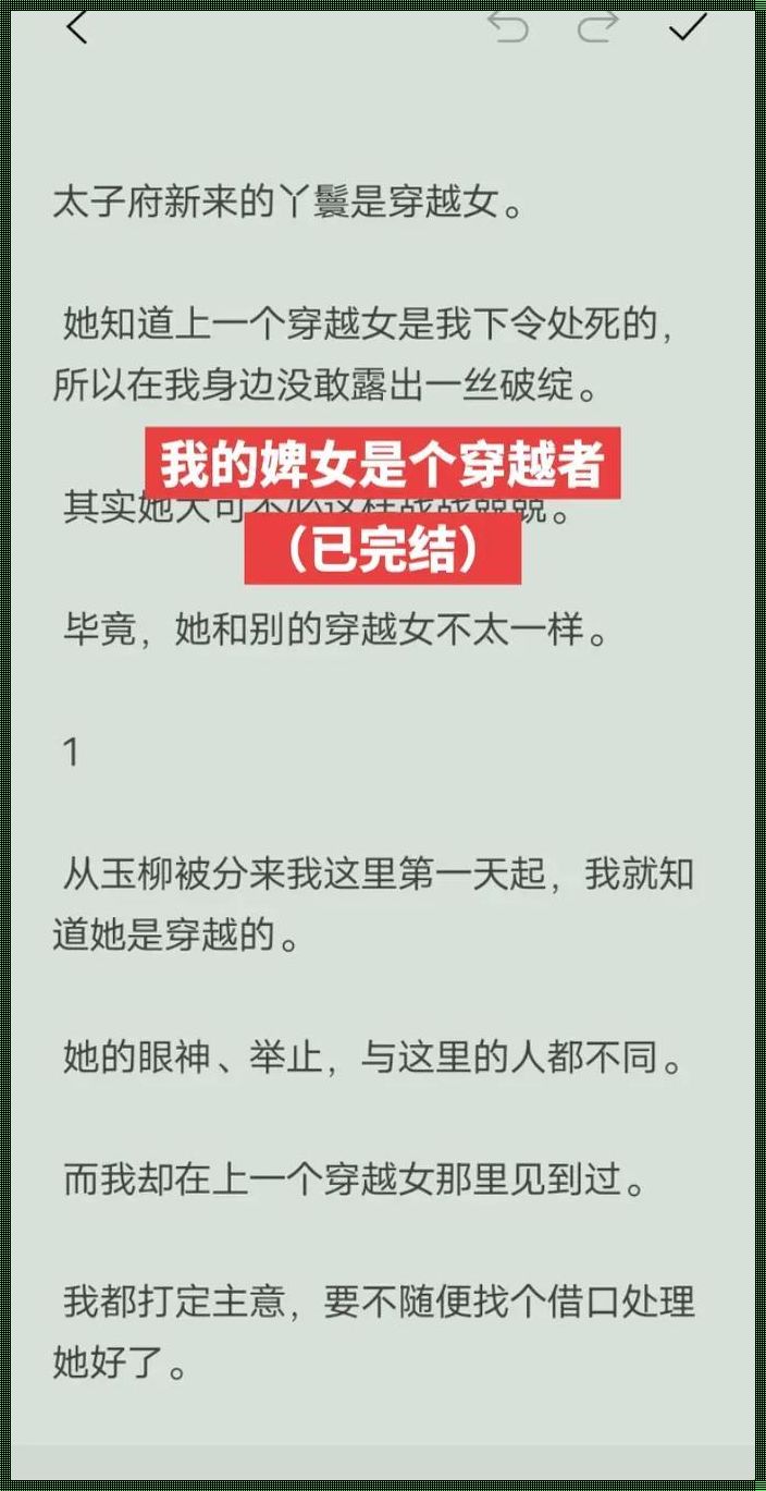 婢女丫鬟小说推荐：科技时代的古典情怀与现代反思