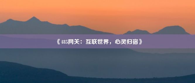 《485网关：互联世界，心灵归宿》