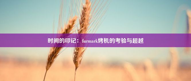 时间的印记：furmark烤机的考验与超越