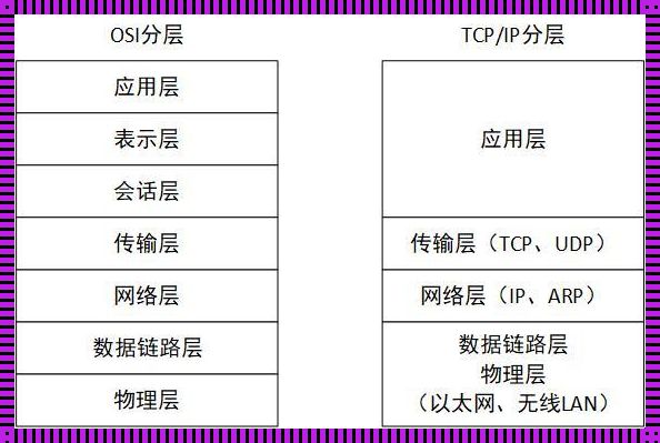 五层协议：构建网络世界的基石