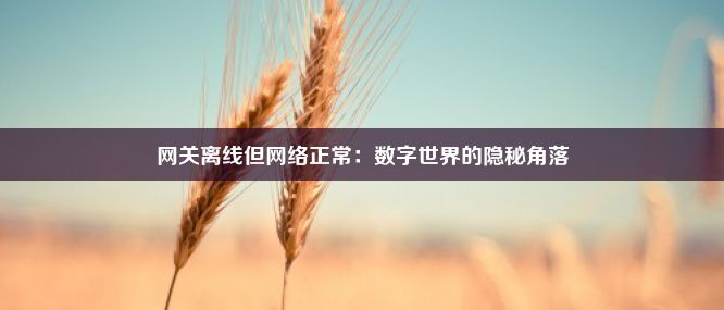 网关离线但网络正常：数字世界的隐秘角落