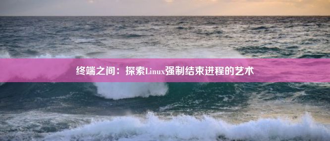 终端之间：探索Linux强制结束进程的艺术