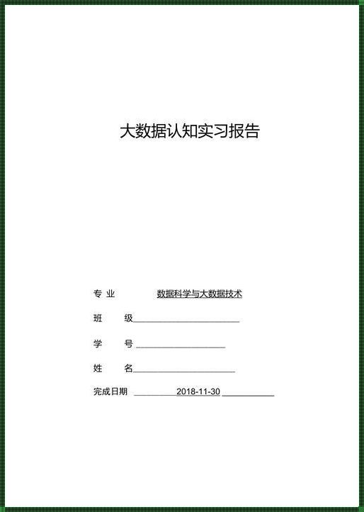 数据洪流中的探索与启迪：大数据实训总结报告