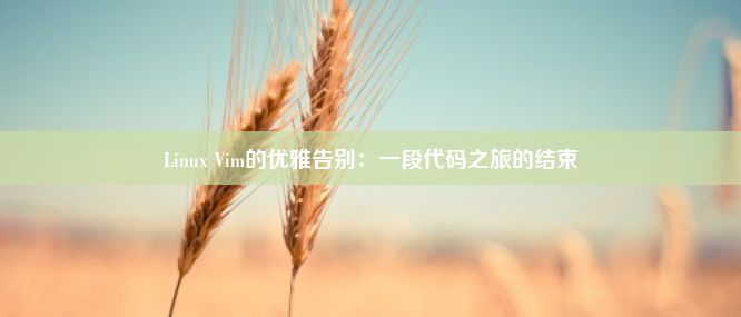 Linux Vim的优雅告别：一段代码之旅的结束