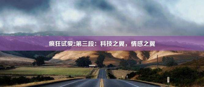 疯狂试爱2第三段：科技之翼，情感之翼