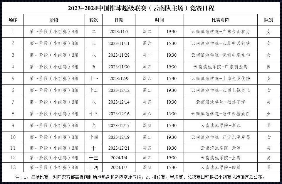 《荣耀与拼搏：2023年中国女排奥运资格赛之旅》