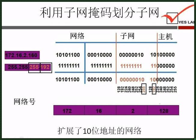 反子网掩码：探索数字世界的隐秘维度