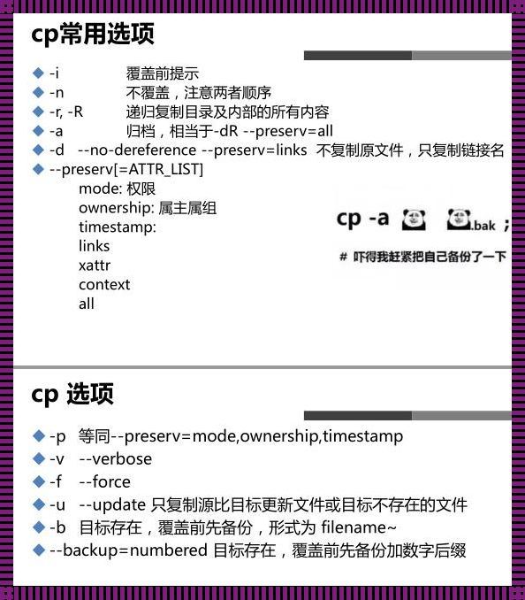 探索Linux文件管理的艺术：命令与智慧的结晶