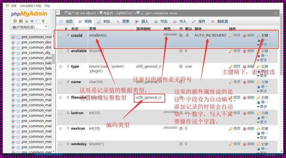 MySQL性别字段的创新设计