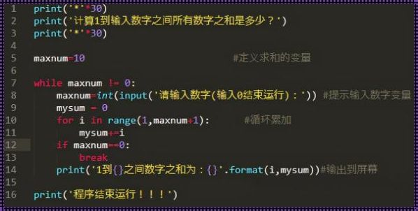 探索代码之魂：Python求和的诗意旅程