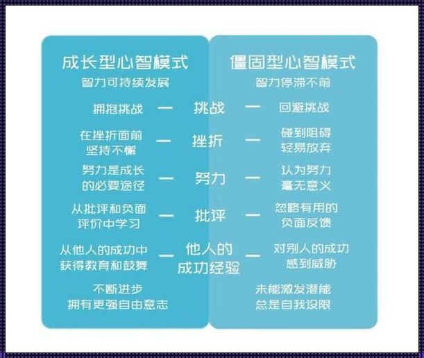 心智模式：科技时代的思考艺术