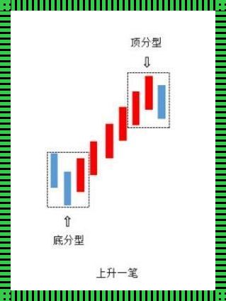 分型线：生命与宇宙的交汇点