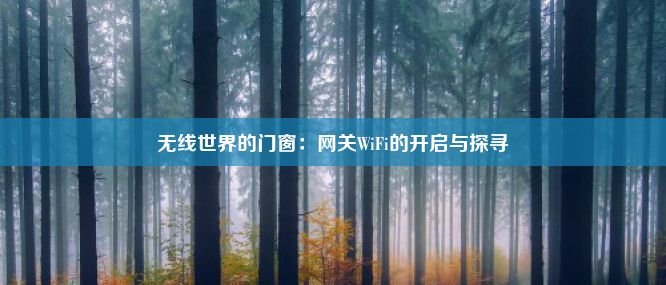 无线世界的门窗：网关WiFi的开启与探寻