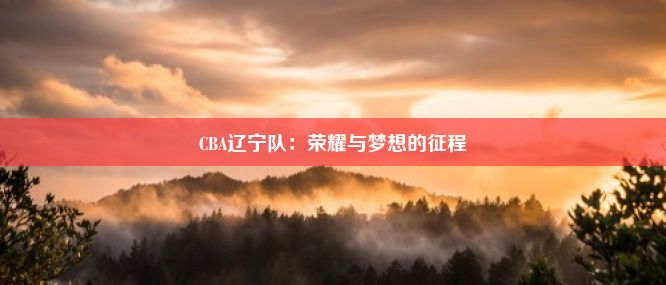 CBA辽宁队：荣耀与梦想的征程