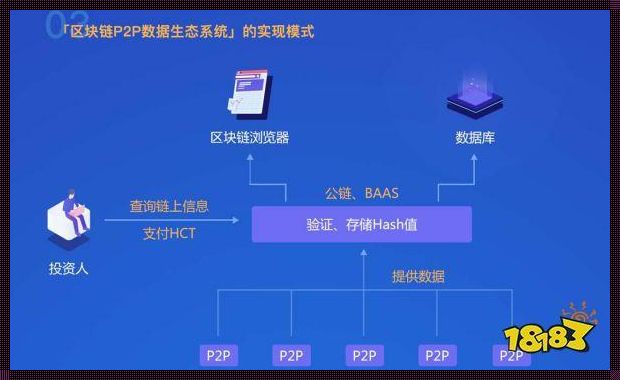 区块链P2P网络：未来互联的基石