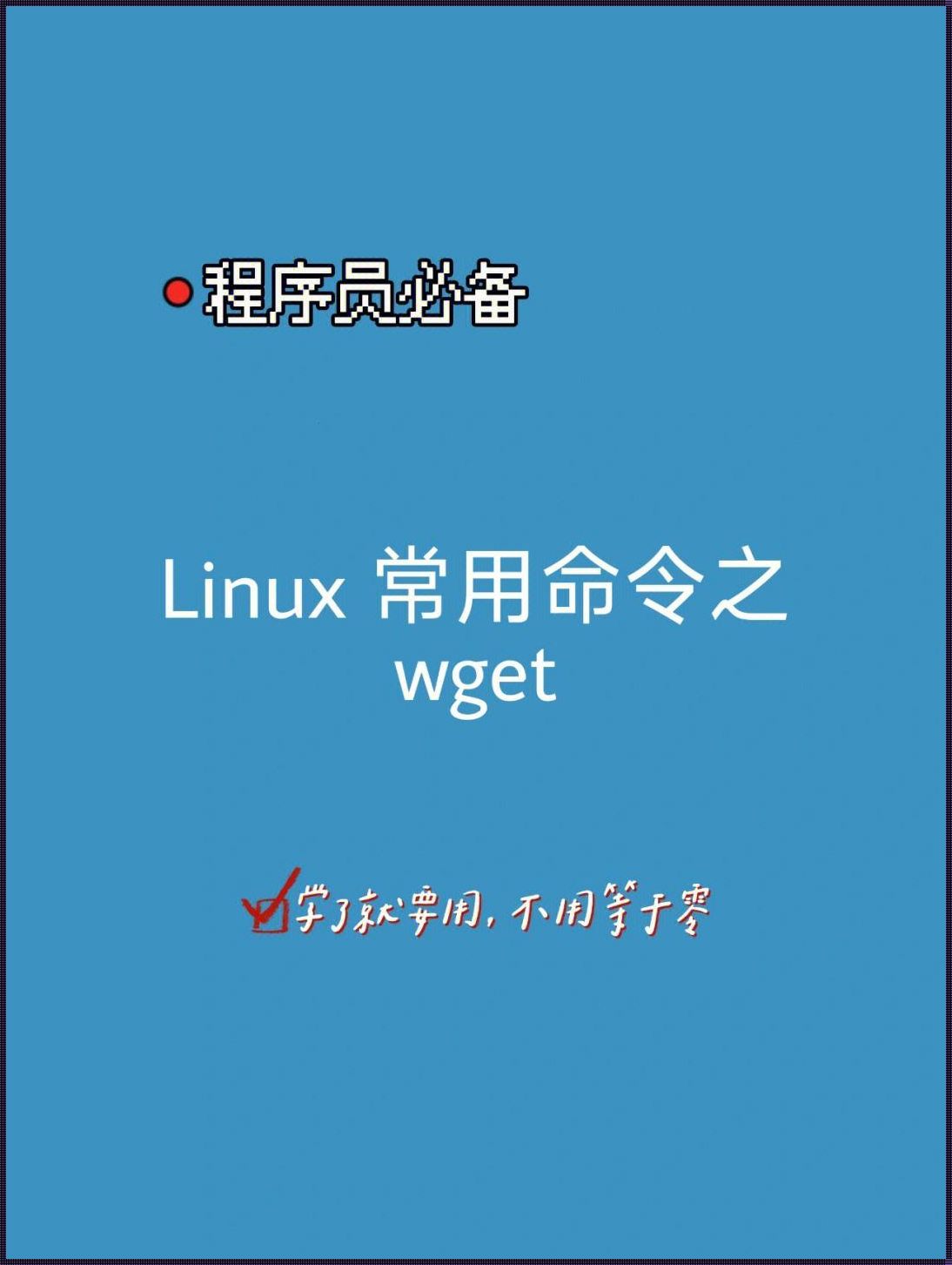 FTP命令的艺术：网络世界的桥梁