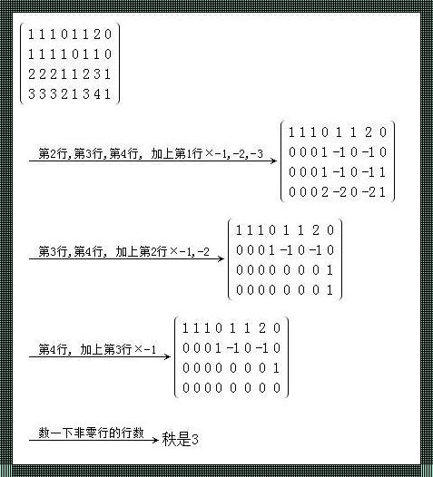 矩阵的奥秘：计算之果如何影响未来