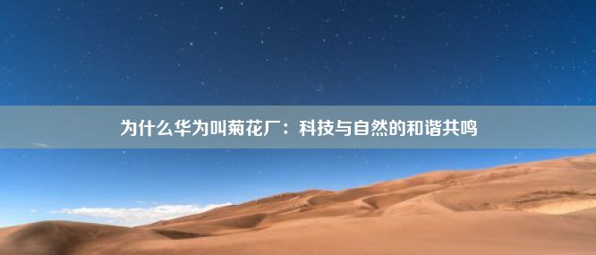 为什么华为叫菊花厂：科技与自然的和谐共鸣