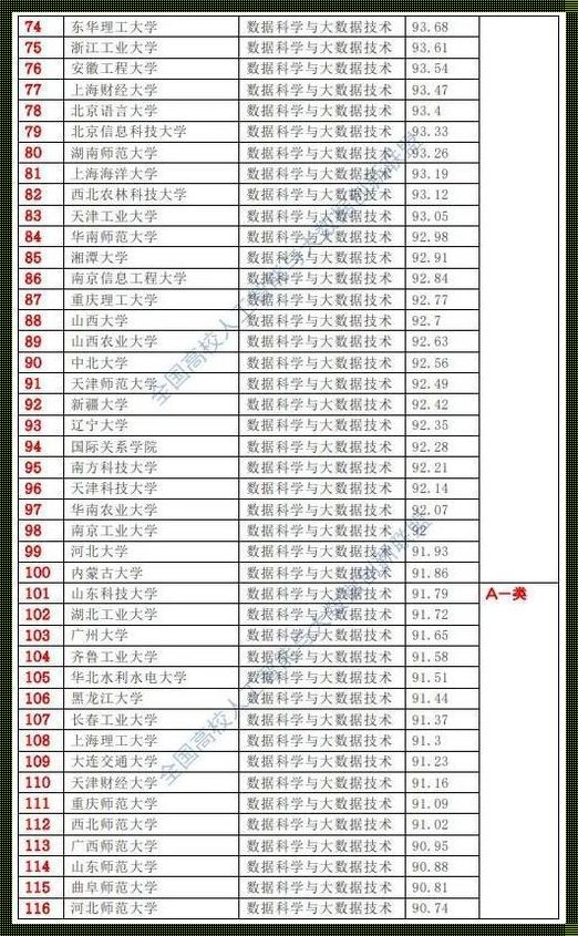 大数据专业国内大学排名：探索知识海洋的灯塔