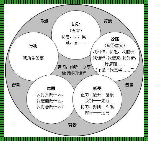 心声的桥梁：情感、经验与智慧的交融