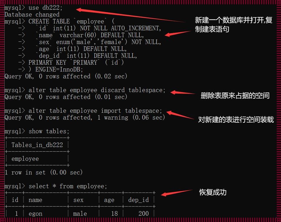 数据之魂：MySQL表构建的艺术与科技之光