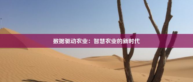 数据驱动农业：智慧农业的新时代