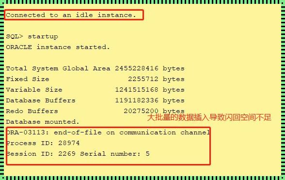 探索Oracle日志的奥秘：技术与艺术的融合之旅