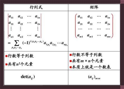 探索初等矩阵的奥秘：数学与生活的交响曲