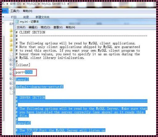 探索神秘面纱背后的解决方案：MySQL端口被占用怎么办?