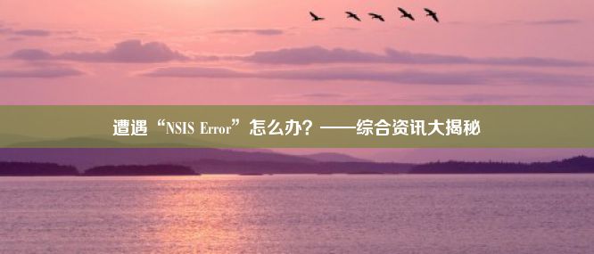 遭遇“NSIS Error”怎么办？——综合资讯大揭秘