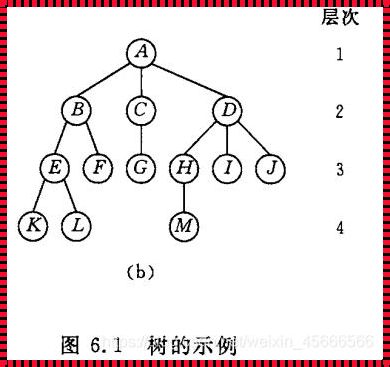 探秘非线性世界：数据结构中的异形结构及其在现代科技中的应用