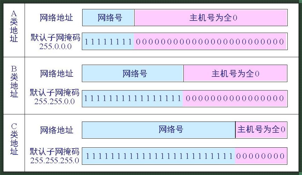 子网掩码怎么看？最新科技技术剖析