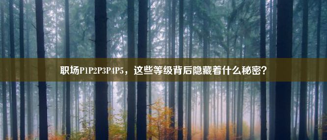 职场P1P2P3P4P5，这些等级背后隐藏着什么秘密？