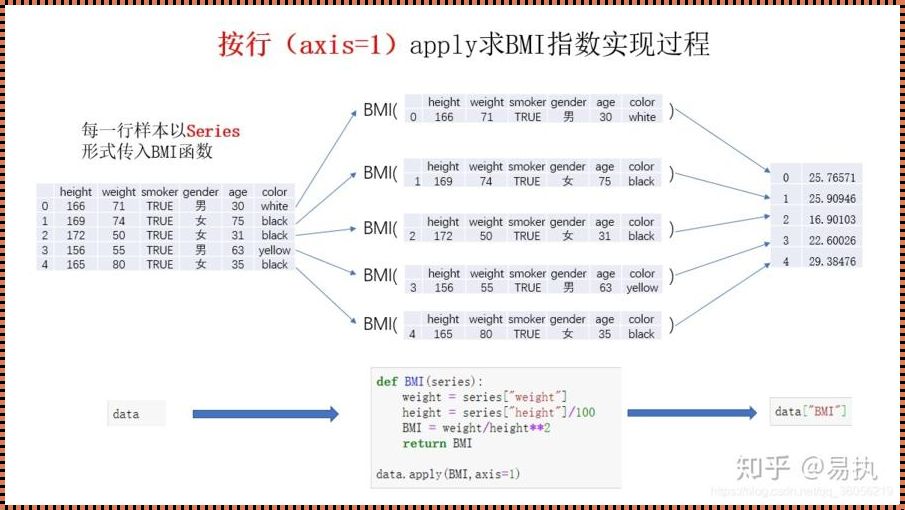 探索Python中Map函数的奇妙世界