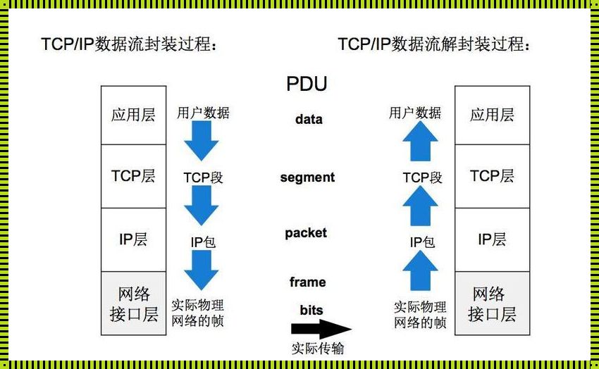 揭秘IP协议工作原理：探寻科技前沿的神秘面纱